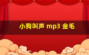 小狗叫声 mp3 金毛